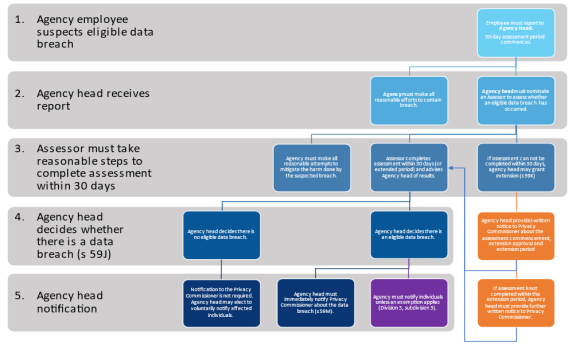 Figure 1 – Assessment process overview