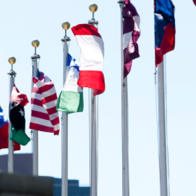 United Nations flags